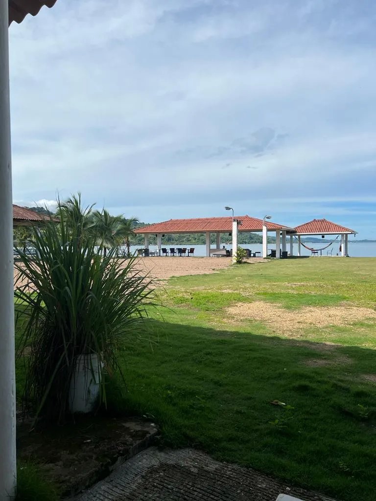 Agriculture For Sale in colón