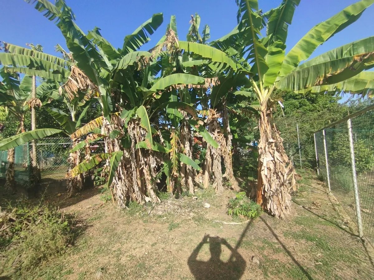 Se alquila casa en Pedasí