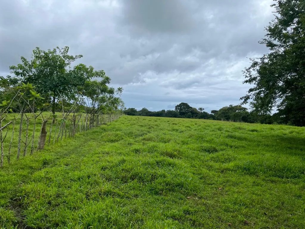 Se vende finca en Pedasí, Los Santos