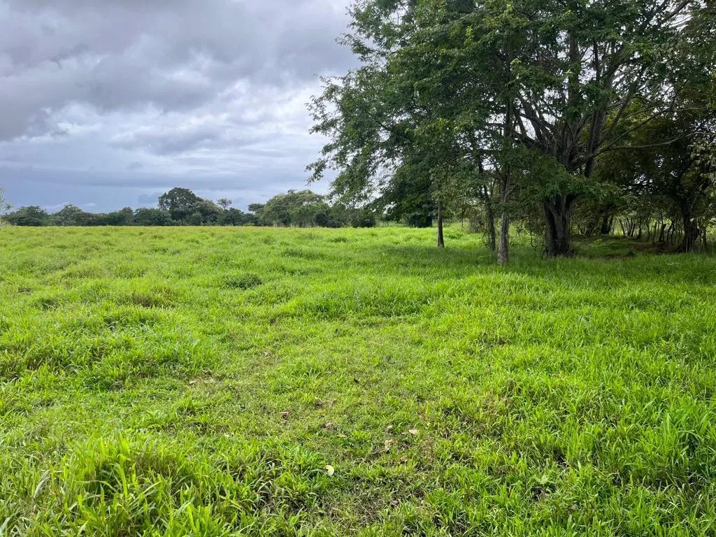 Se vende finca en Pedasí, Los Santos