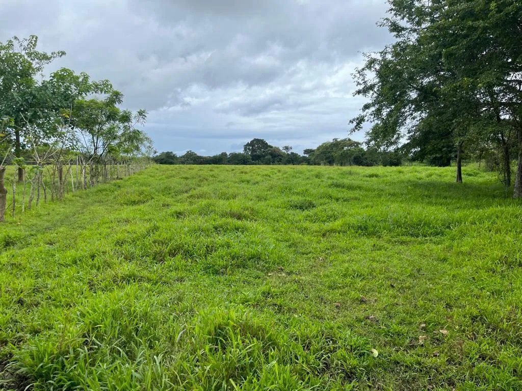 Se vende finca en Pedasí, Los Santos