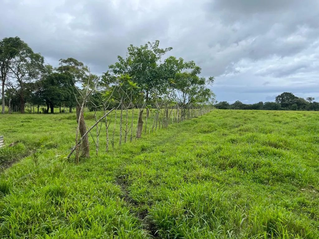Se vende finca en Pedasí, Los Santos
