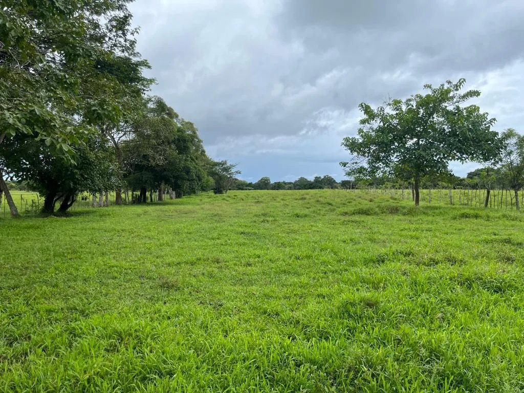 Farm For Sale in Pedasí, Los Santos