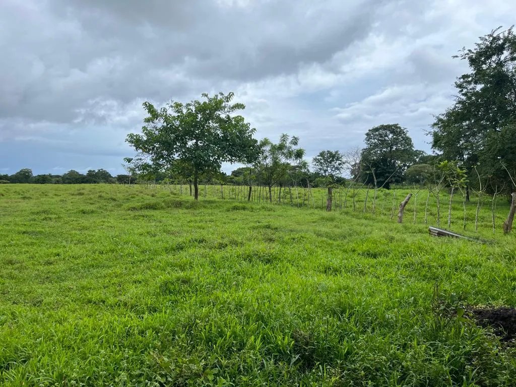 Farm For Sale in Pedasí, Los Santos