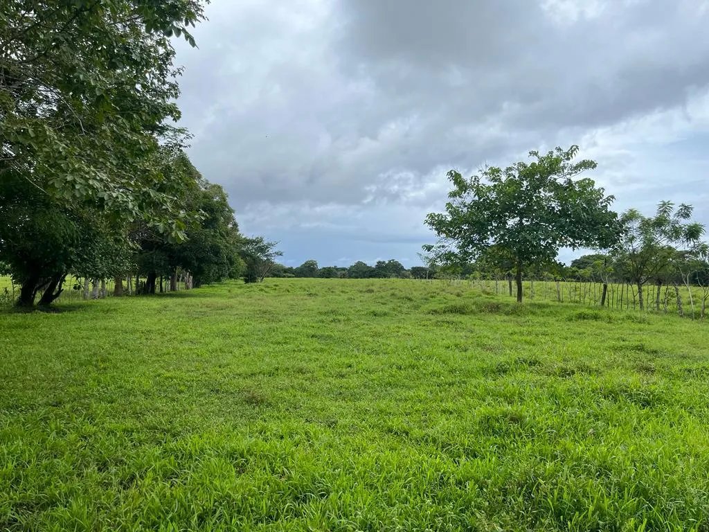 Farm For Sale in Pedasí, Los Santos