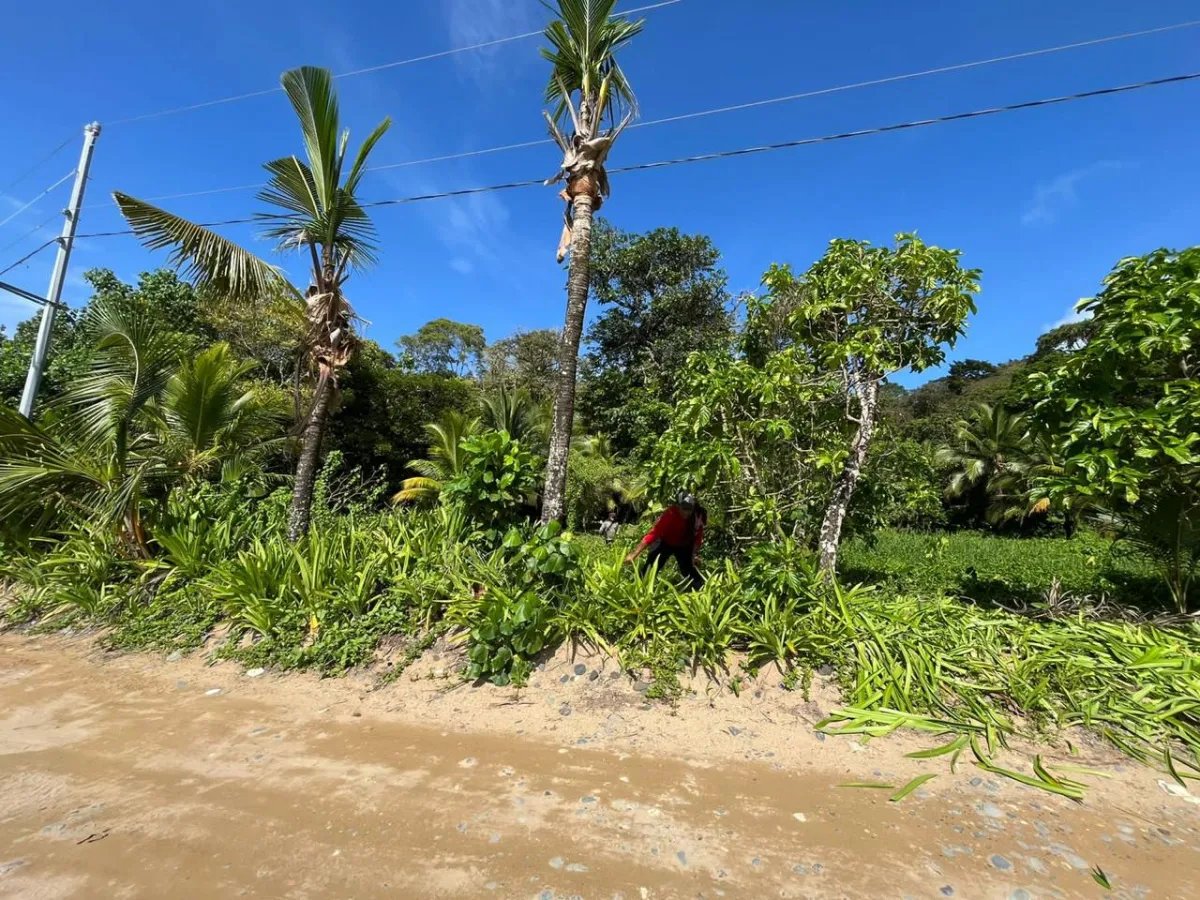Venta de terreno