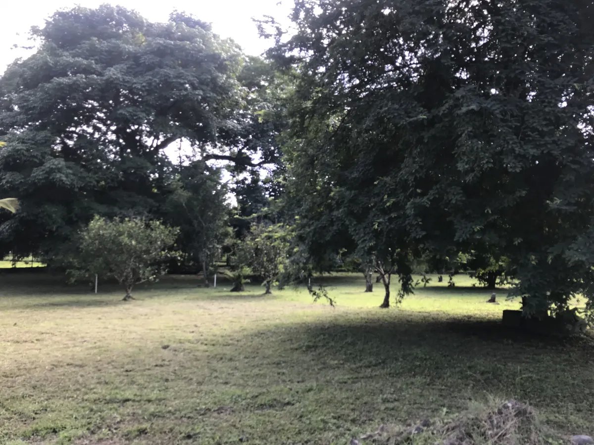 Venta de terreno frente al mar en Nueva Gorgona, Chame