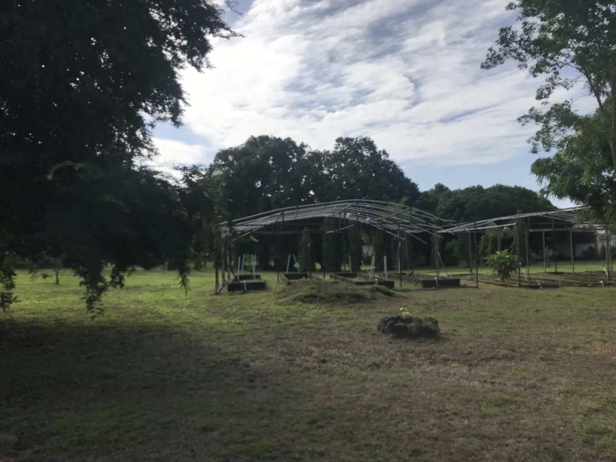 Venta de terreno frente al mar en Nueva Gorgona, Chame
