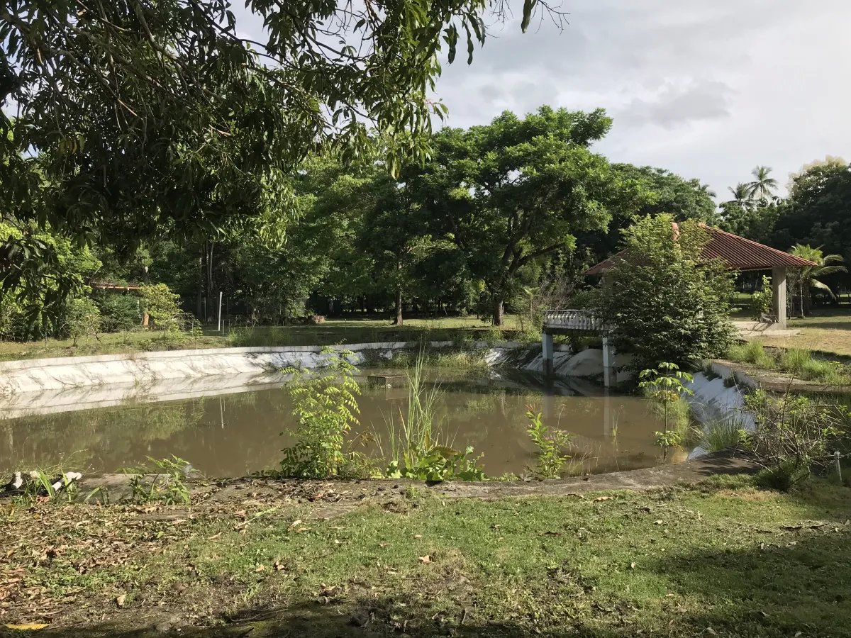 House For Sale in Nueva gorgona