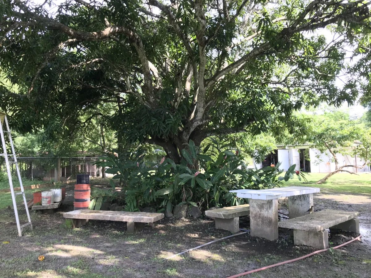 House For Sale in Nueva gorgona