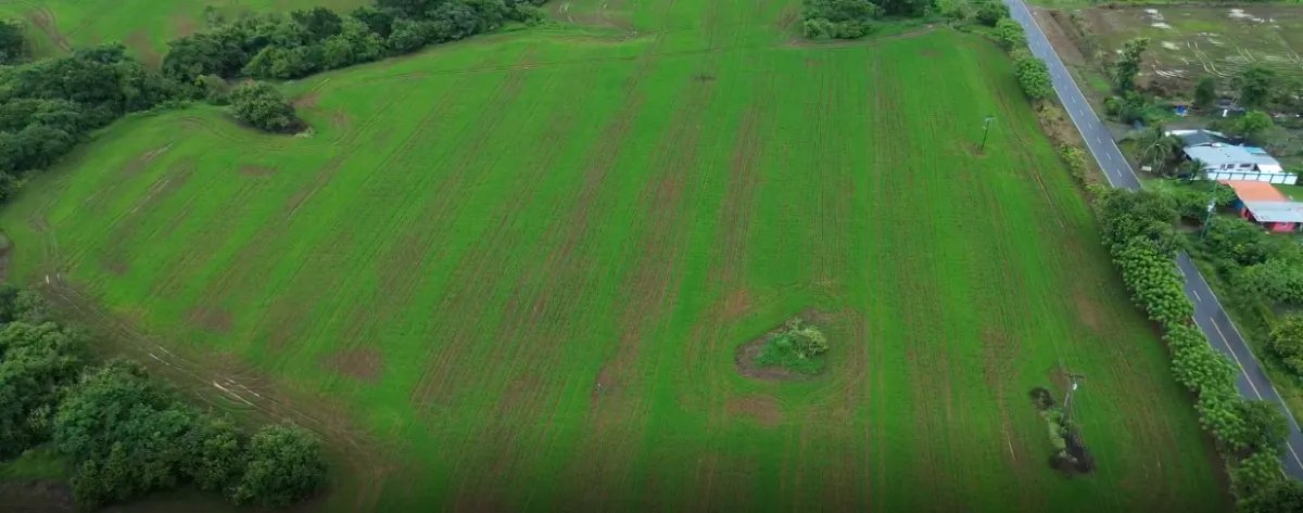 Venta de finca en Pedasí, Los Santos