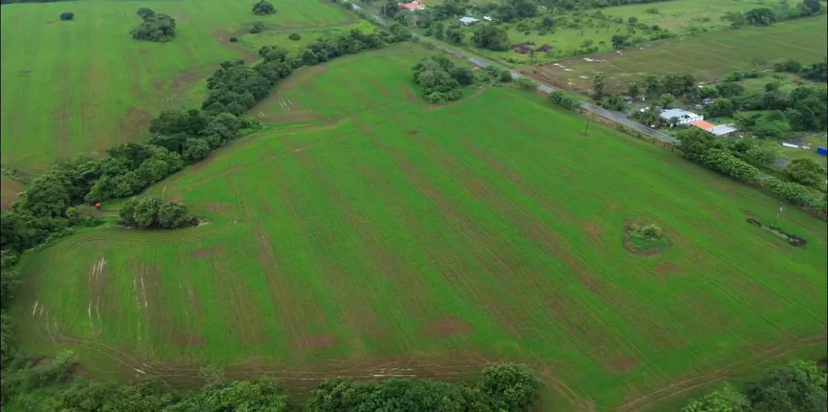 Venta de finca en Pedasí, Los Santos