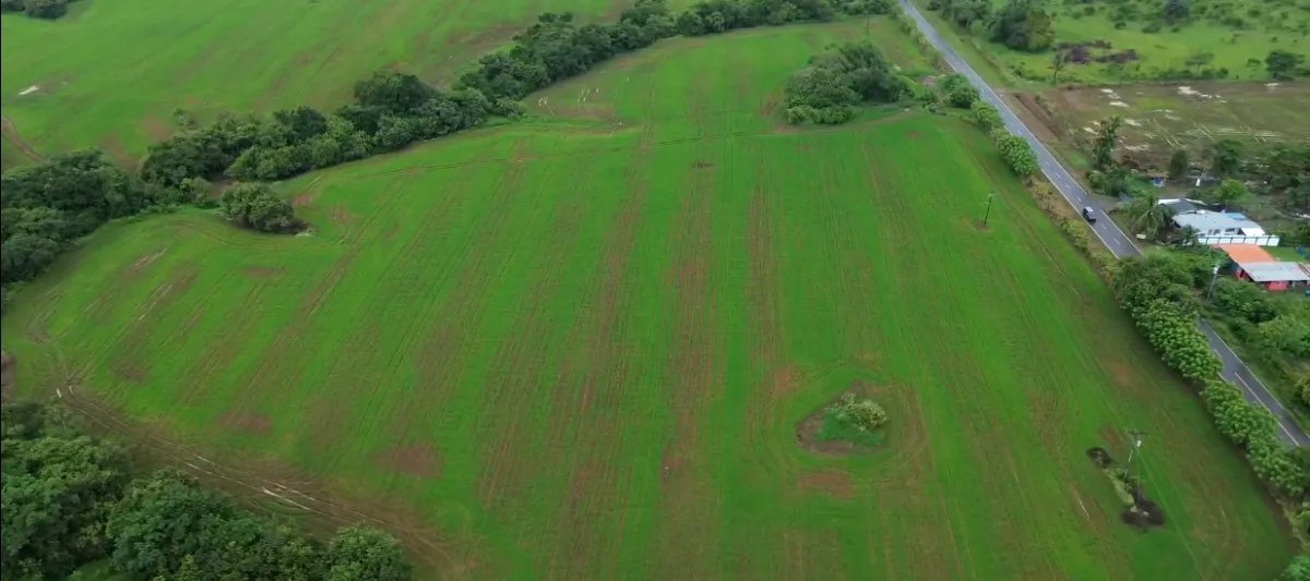 Venta de finca en Pedasí, Los Santos