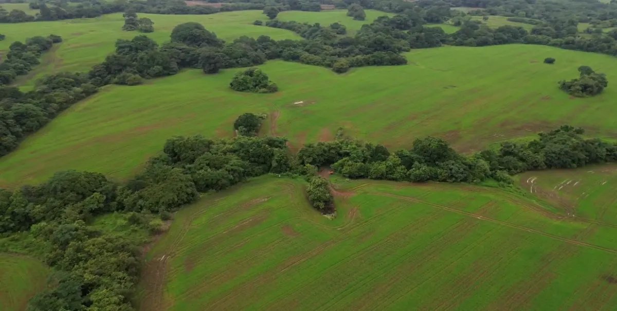 Venta de finca en Pedasí, Los Santos