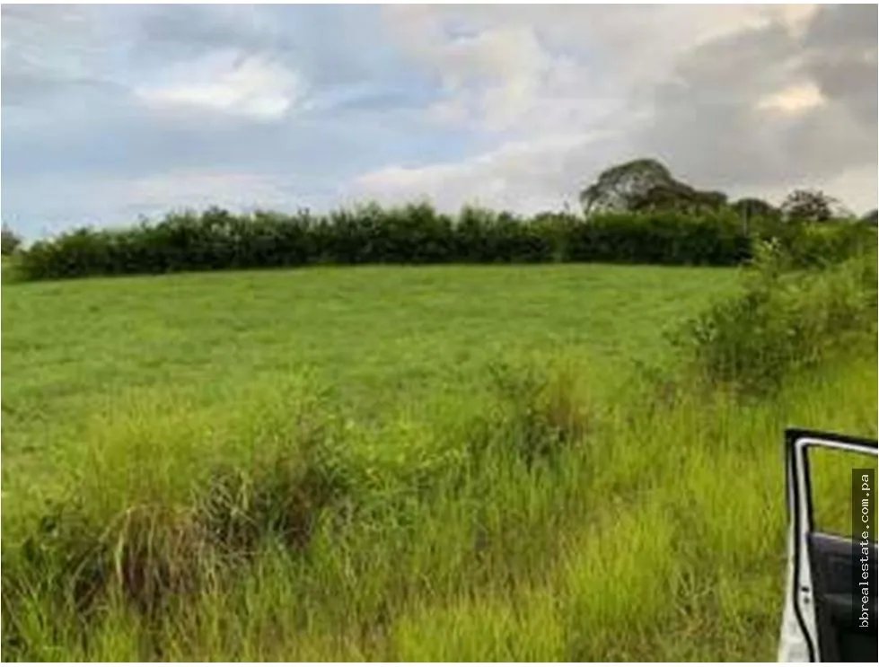 Venta de terreno Equus Village en Pedasi