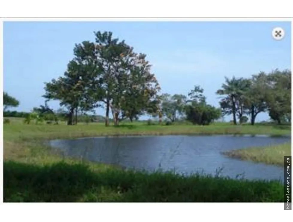 Venta de terreno Equus Village en Pedasi