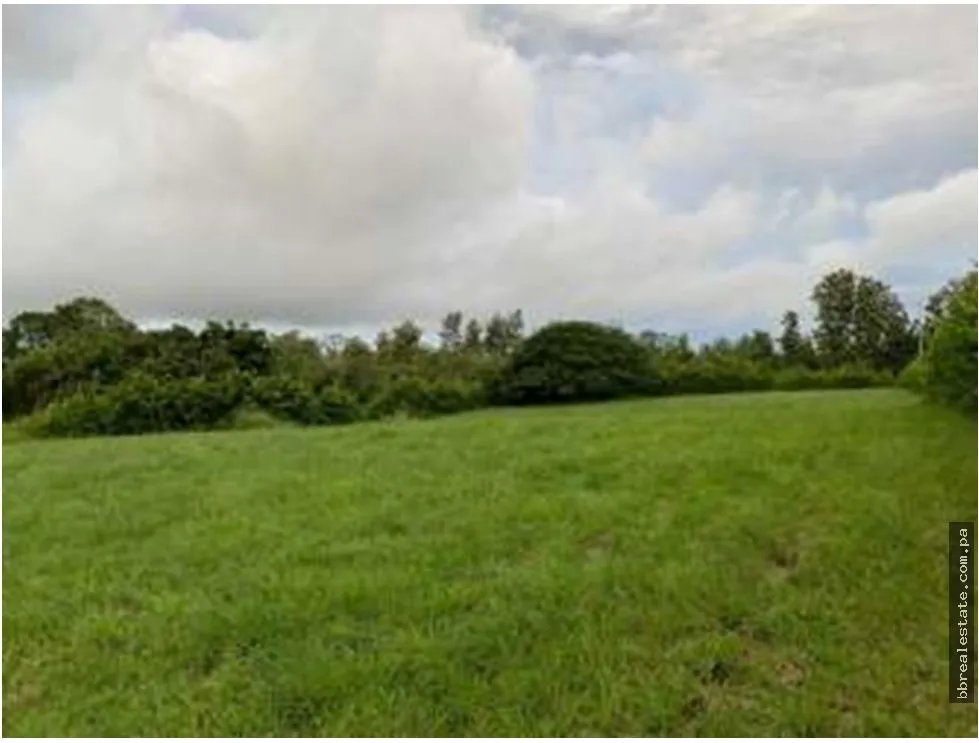 Building Lot for sale in Pedasi