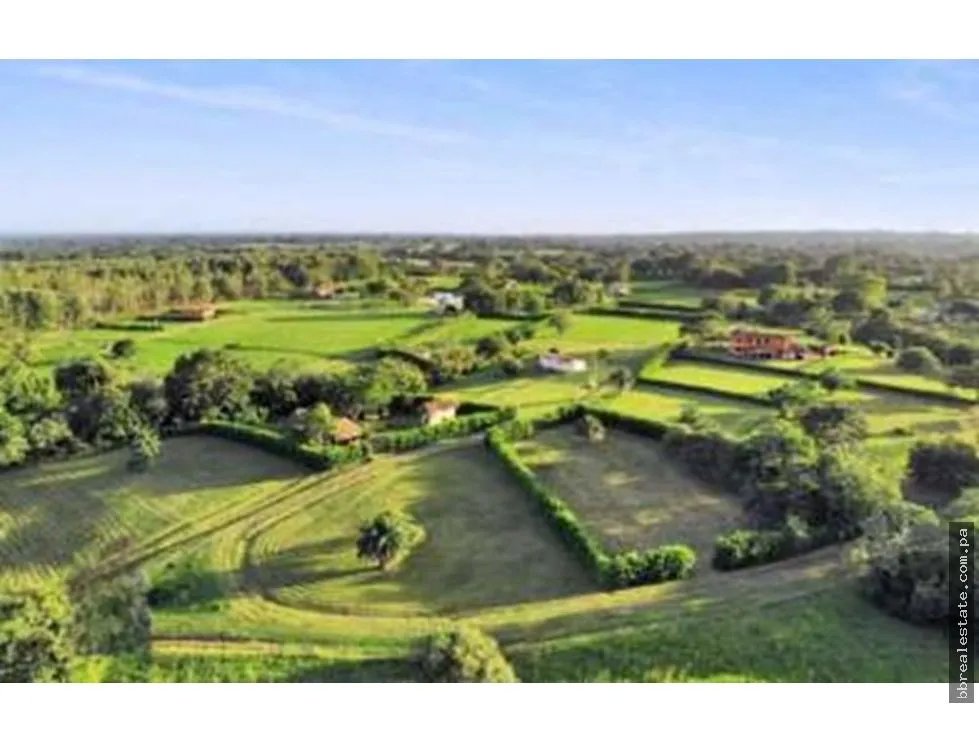 Building Lot for sale in Pedasi