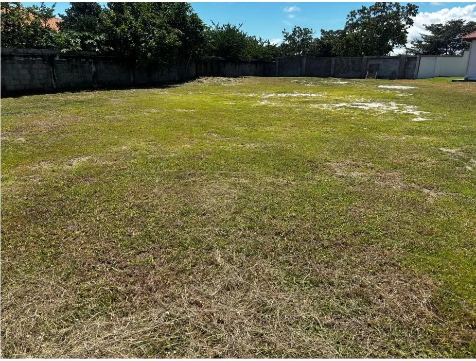 SAN CARLOS / COSTA ESMERALDA / 858M2 / PLANO / CERCADO / CERCA DEL MAR