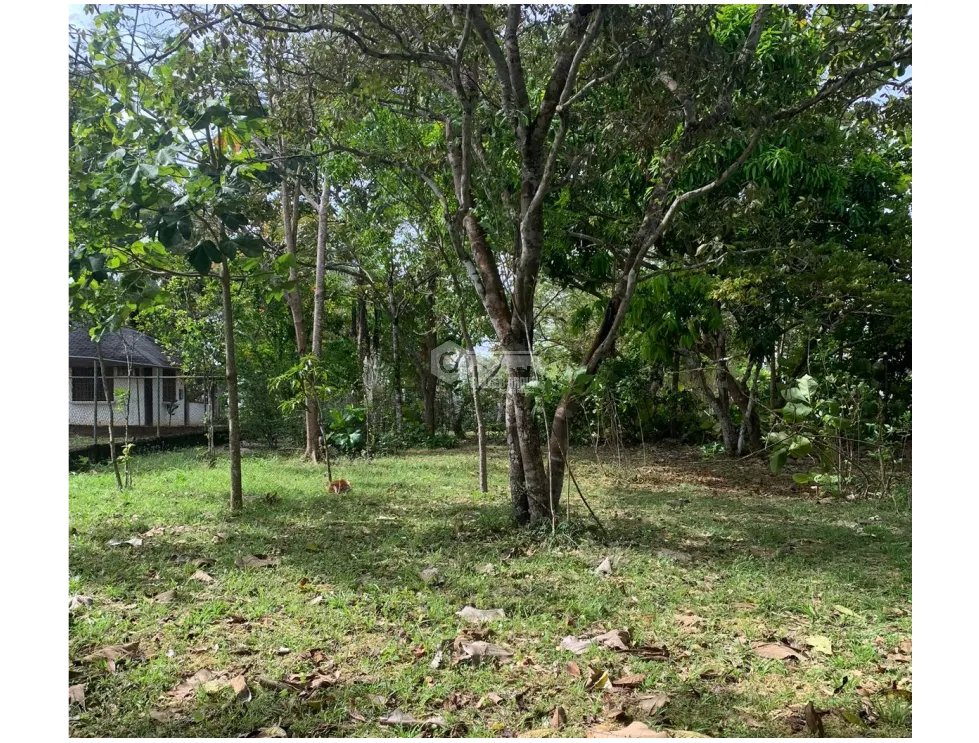 Building Lot for sale in Rio Mar