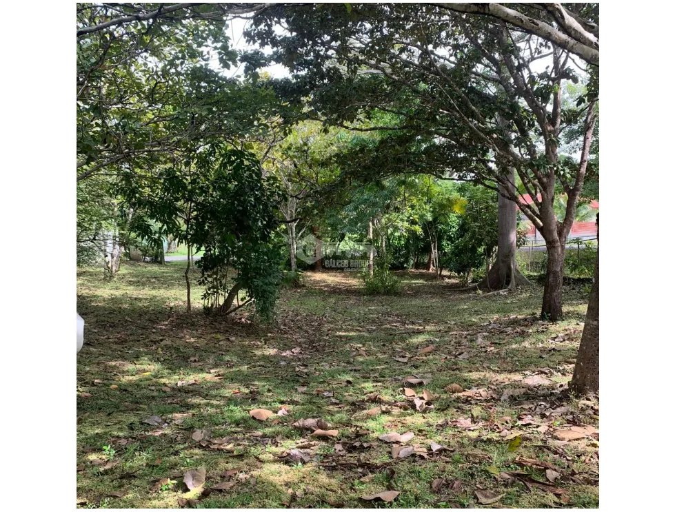 Building Lot for sale in Rio Mar