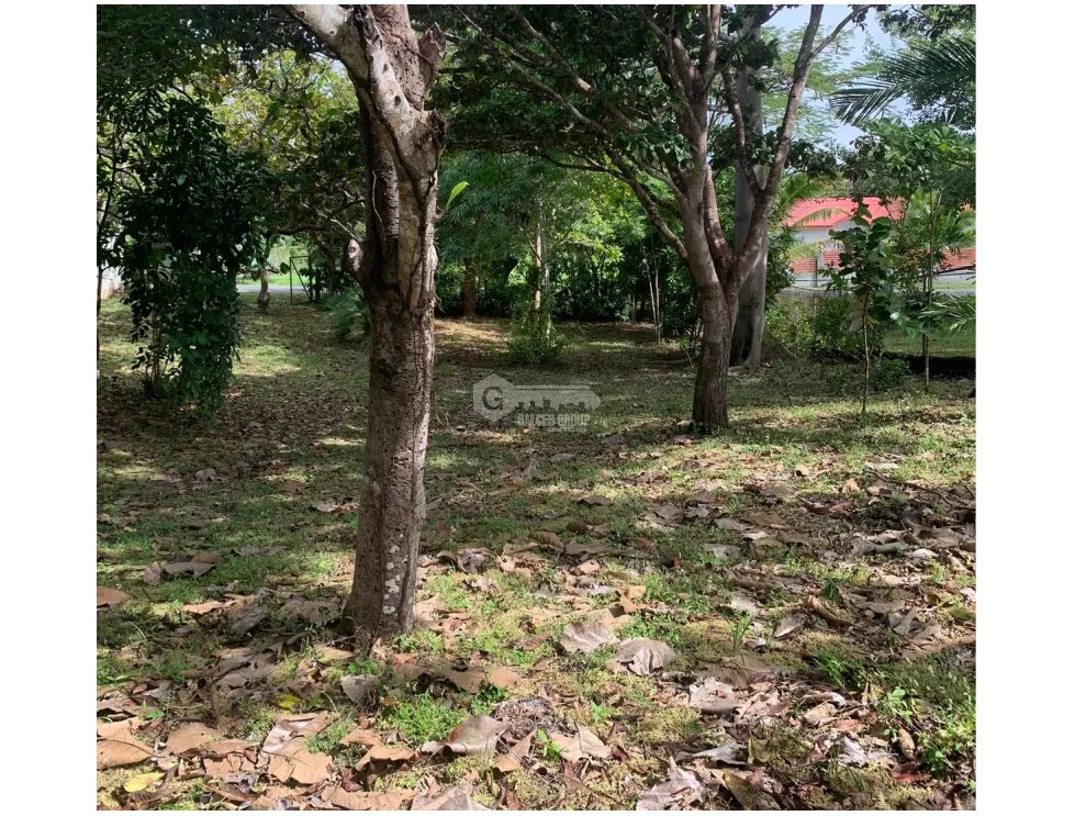 Building Lot for sale in Rio Mar