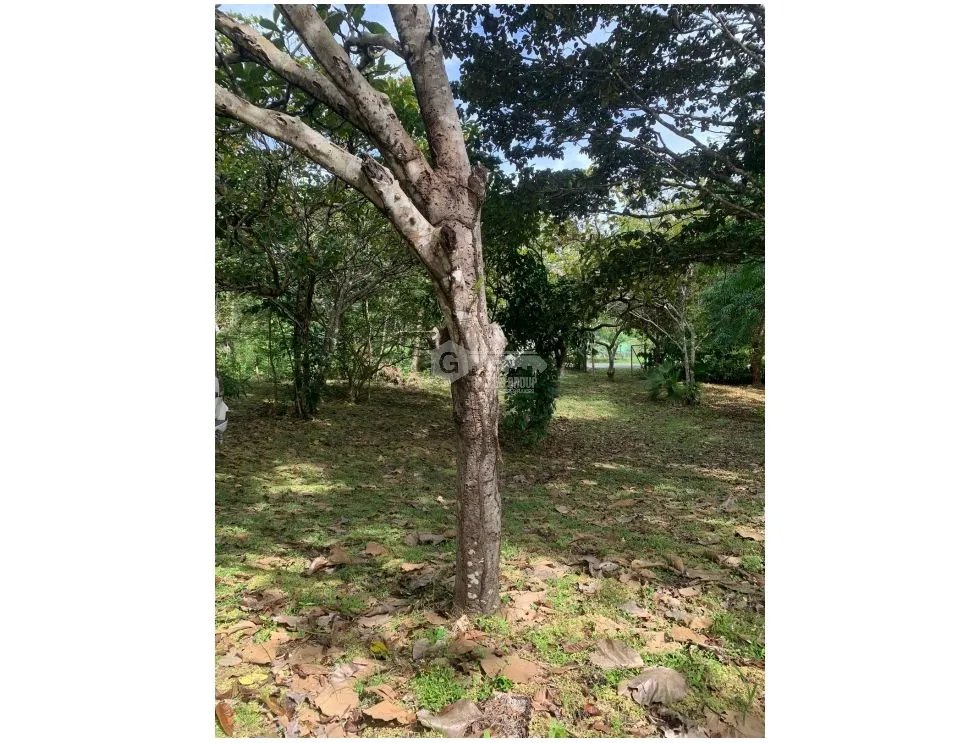 Building Lot for sale in Rio Mar