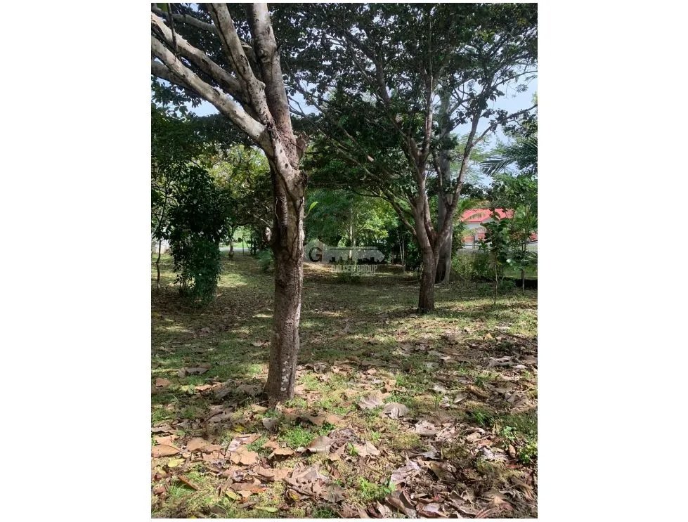 Building Lot for sale in Rio Mar
