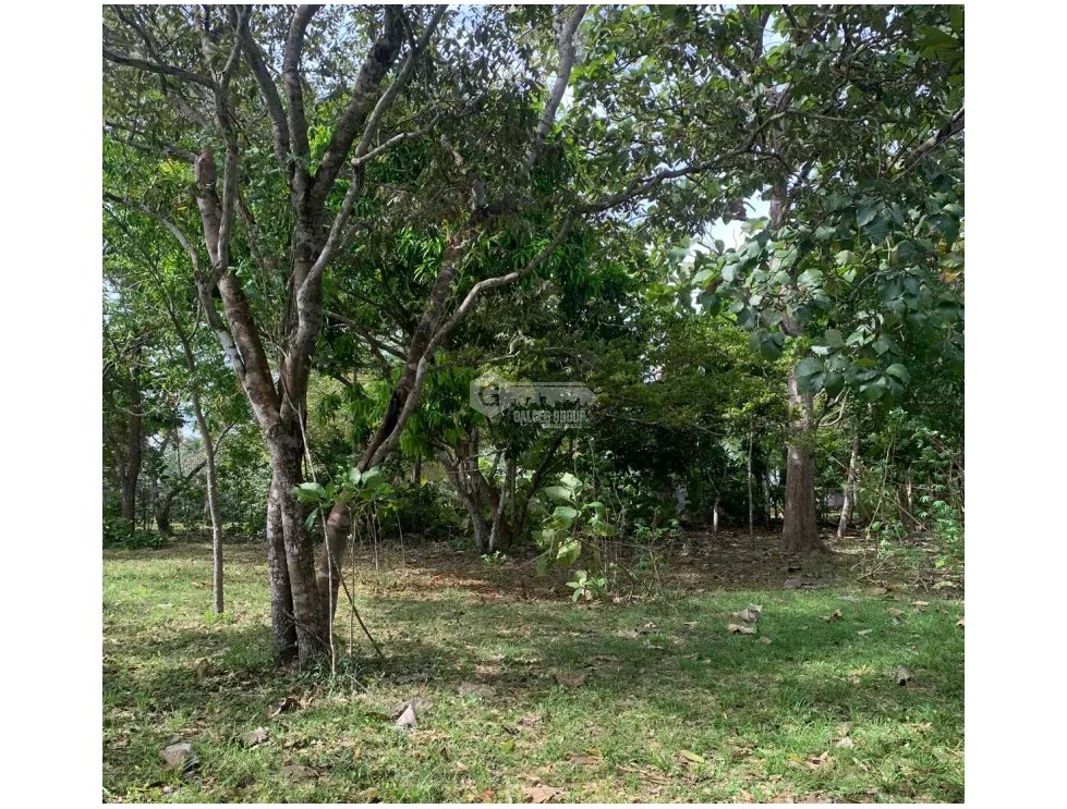 Building Lot for sale in Rio Mar