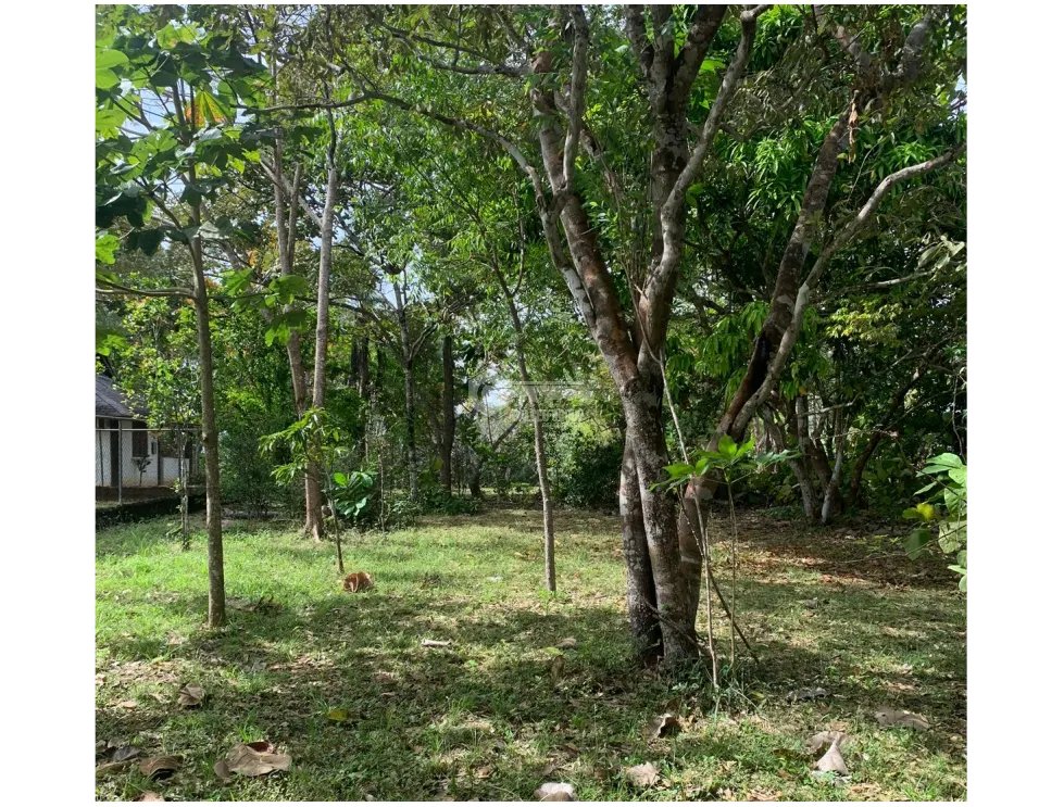 Building Lot for sale in Rio Mar
