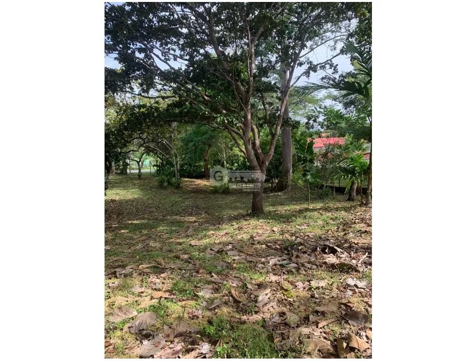 Building Lot for sale in Rio Mar
