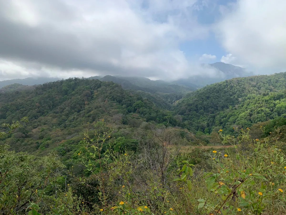 Finca en Venta  282 Hectáreas Colindantes con el Parque Nacional Cerr...