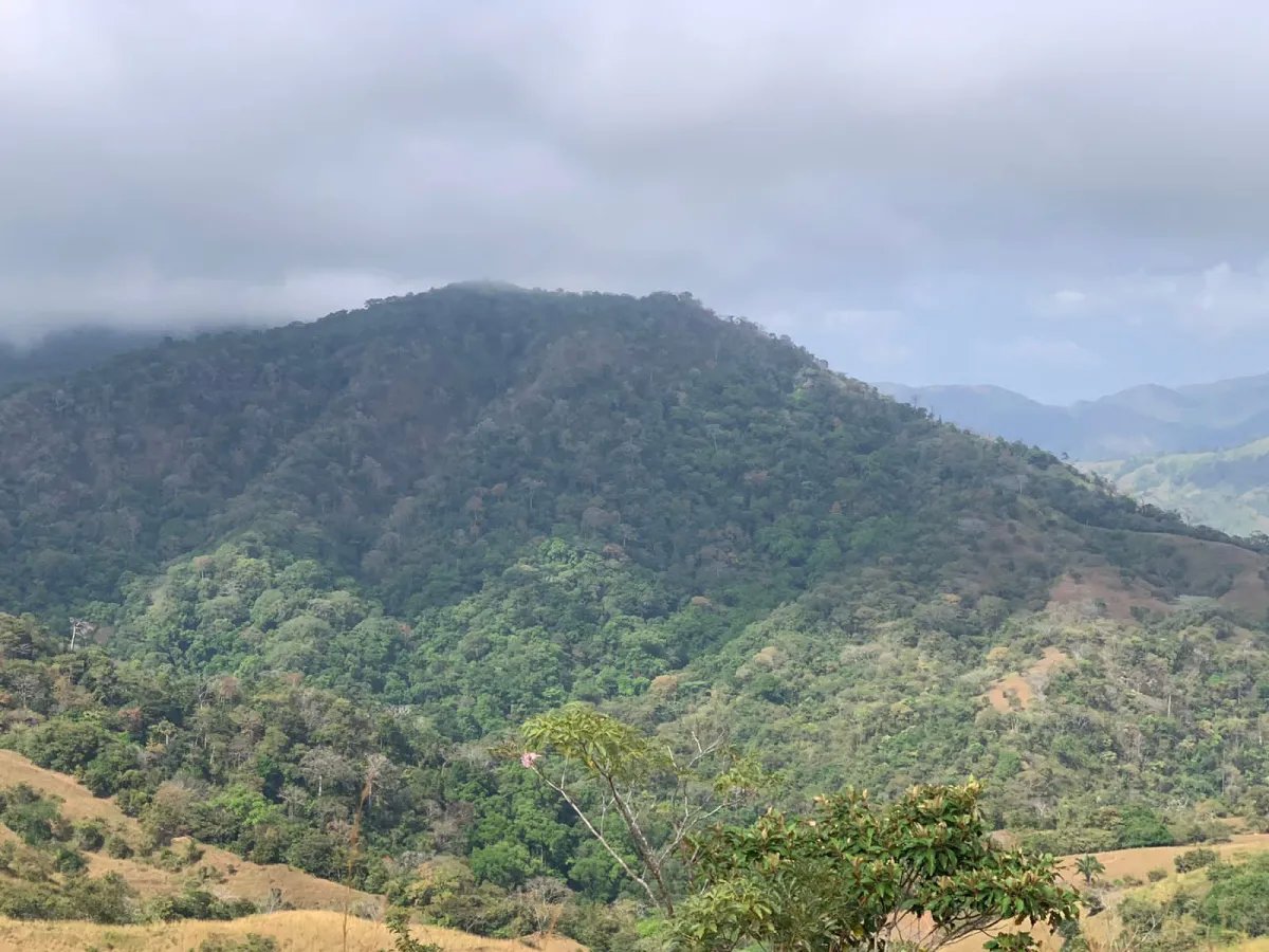 Finca en Venta  282 Hectáreas Colindantes con el Parque Nacional Cerro Hoya, Veraguas, Panamá