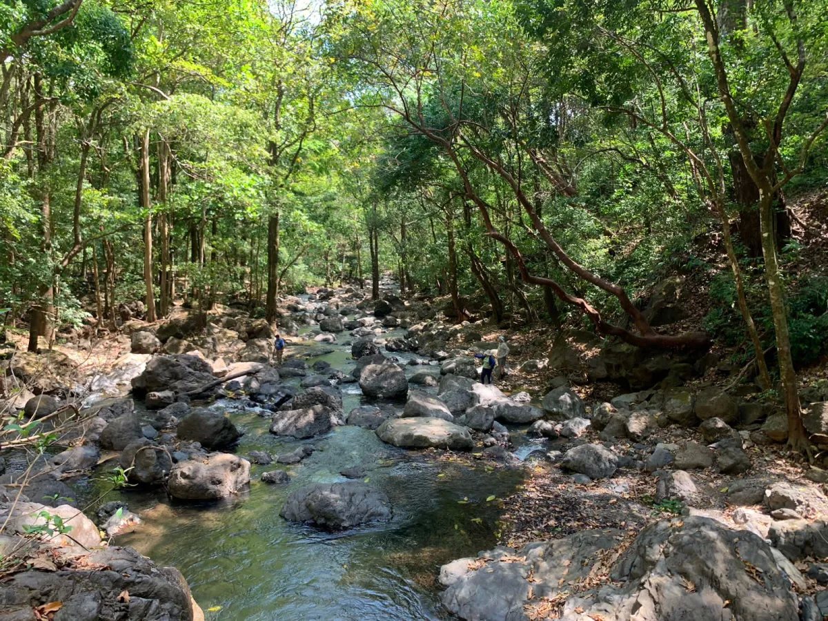 Finca en Venta  282 Hectáreas Colindantes con el Parque Nacional Cerro Hoya, Veraguas, Panamá