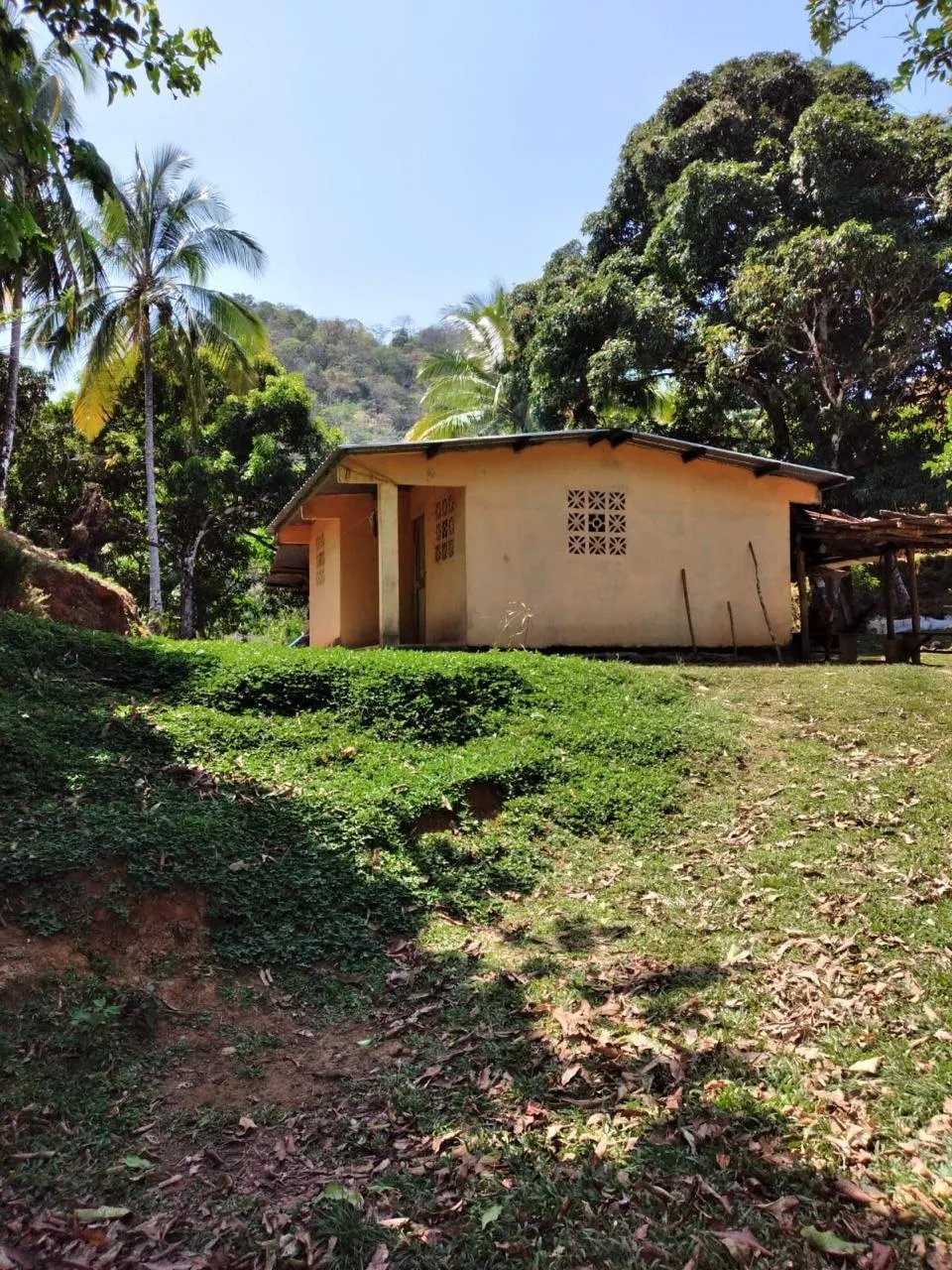 Finca en Venta  282 Hectáreas Colindantes con el Parque Nacional Cerro Hoya, Veraguas, Panamá