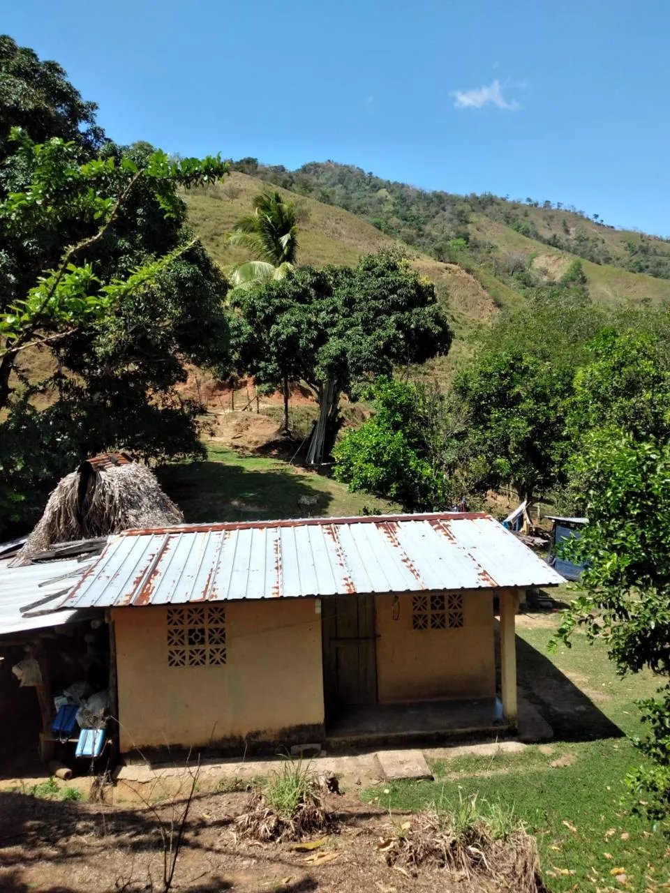 Finca en Venta  282 Hectáreas Colindantes con el Parque Nacional Cerro Hoya, Veraguas, Panamá