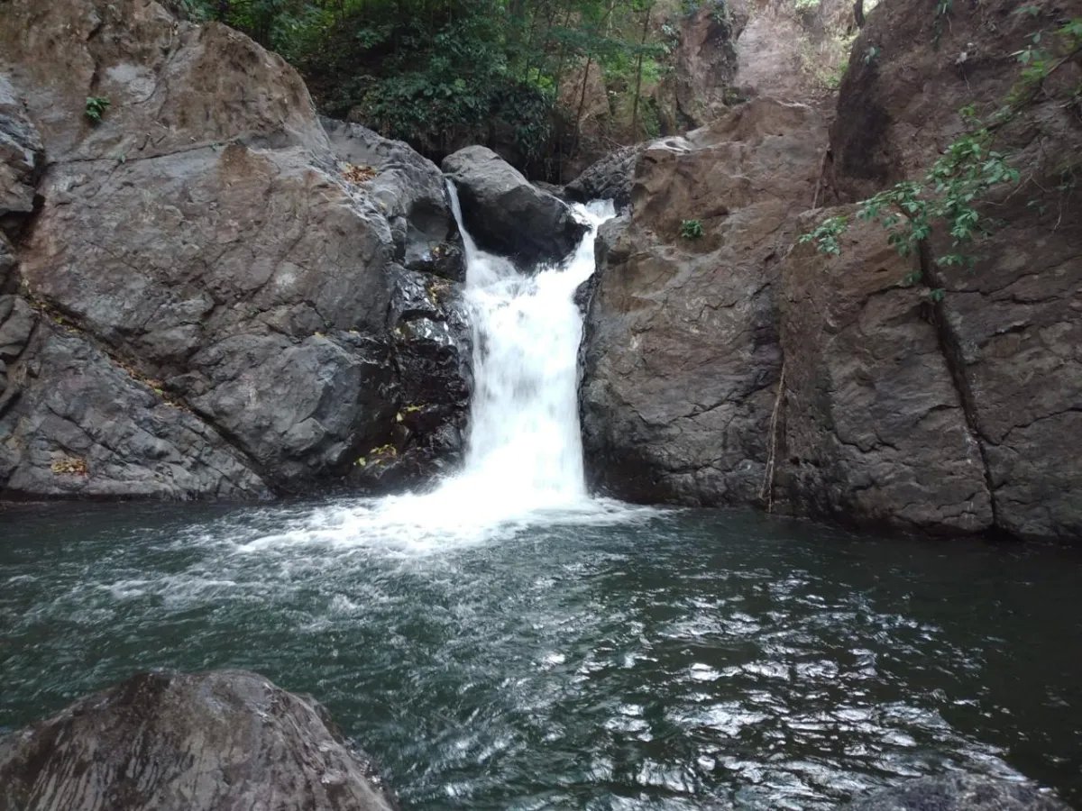 Finca en Venta  282 Hectáreas Colindantes con el Parque Nacional Cerro Hoya, Veraguas, Panamá