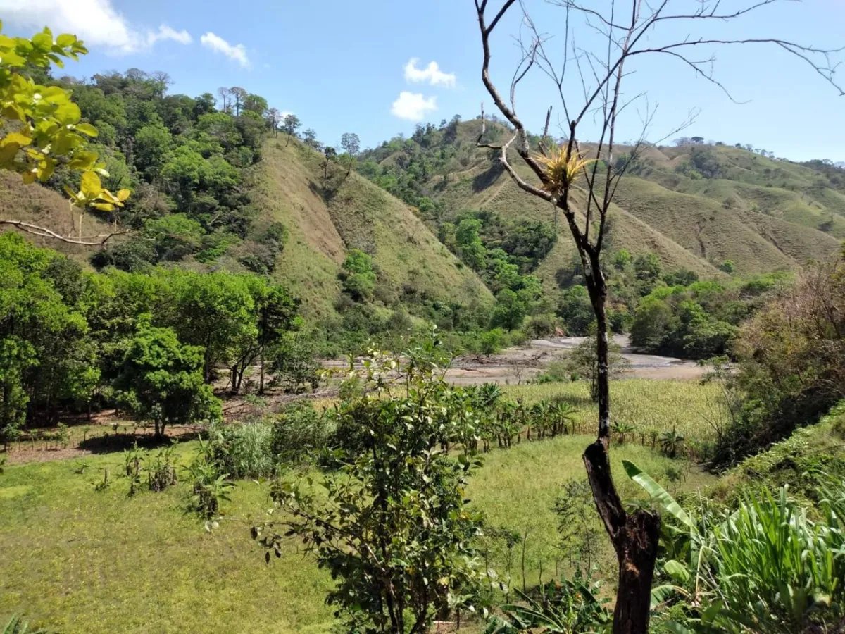 Finca en Venta  282 Hectáreas Colindantes con el Parque Nacional Cerro Hoya, Veraguas, Panamá