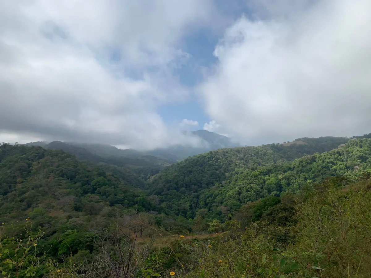 Finca en Venta  282 Hectáreas Colindantes con el Parque Nacional Cerro Hoya, Veraguas, Panamá