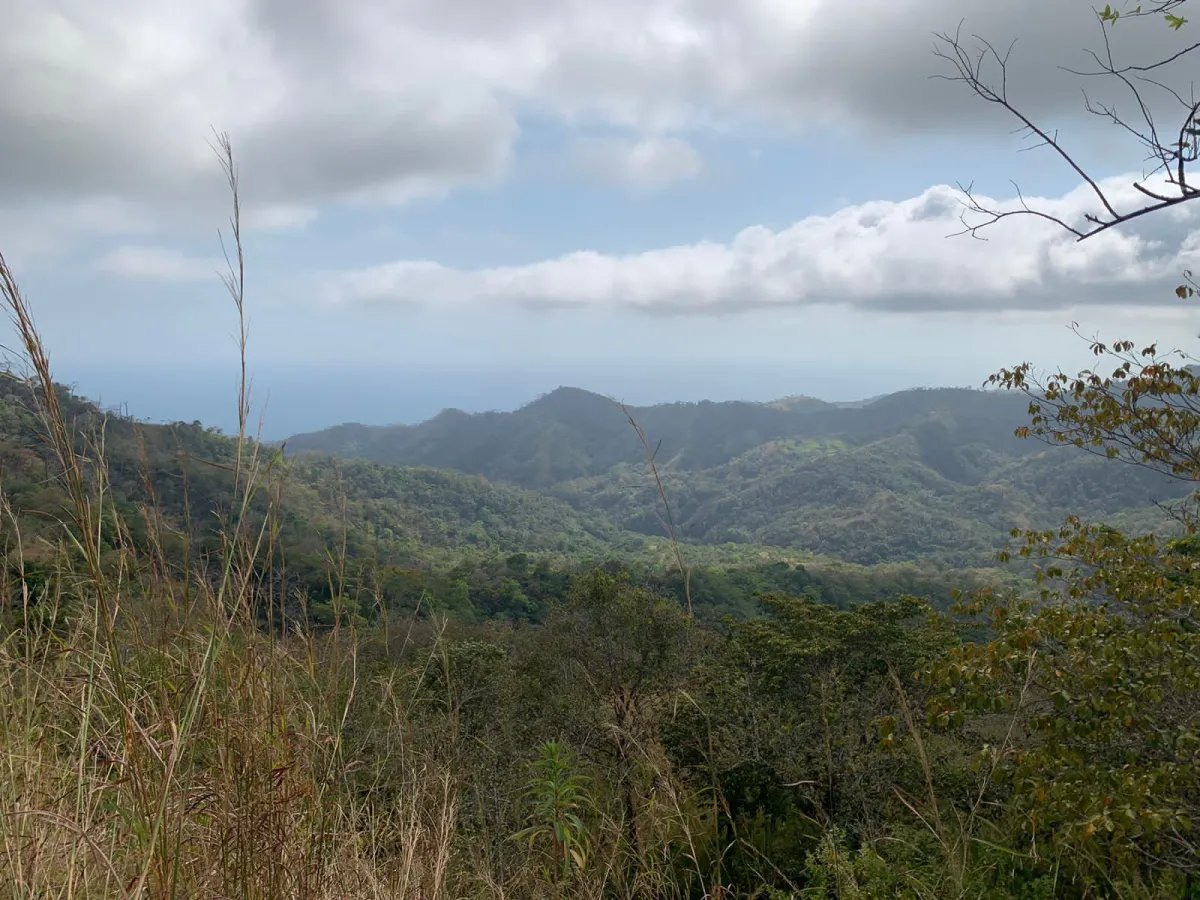 Finca en Venta  282 Hectáreas Colindantes con el Parque Nacional Cerro Hoya, Veraguas, Panamá