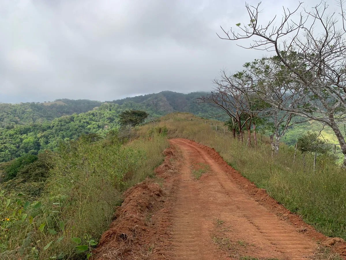Finca en Venta  282 Hectáreas Colindantes con el Parque Nacional Cerro Hoya, Veraguas, Panamá