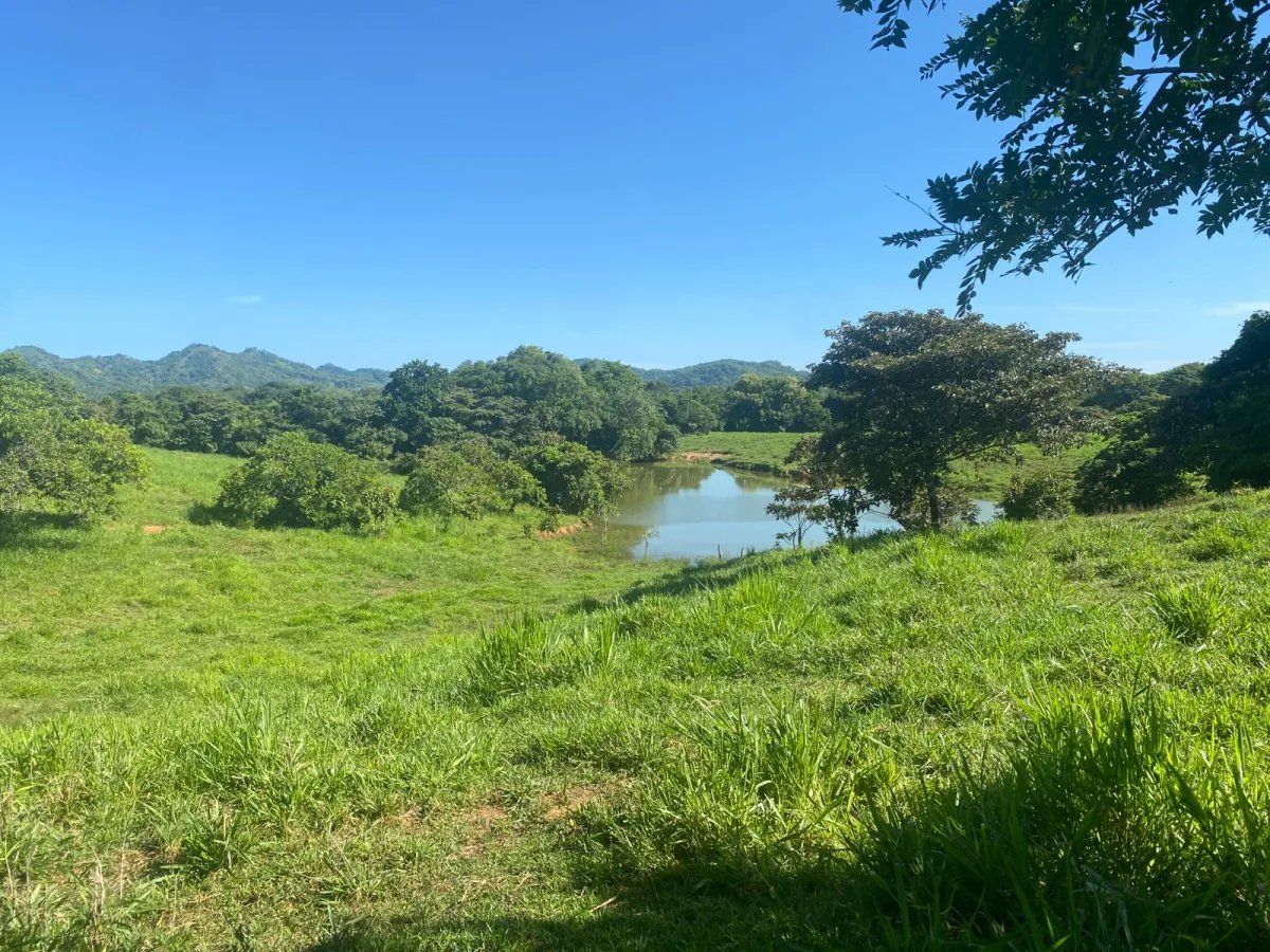 Finca en Venta  1,119 Hectáreas Cerca de Soná, Veraguas, Panamá