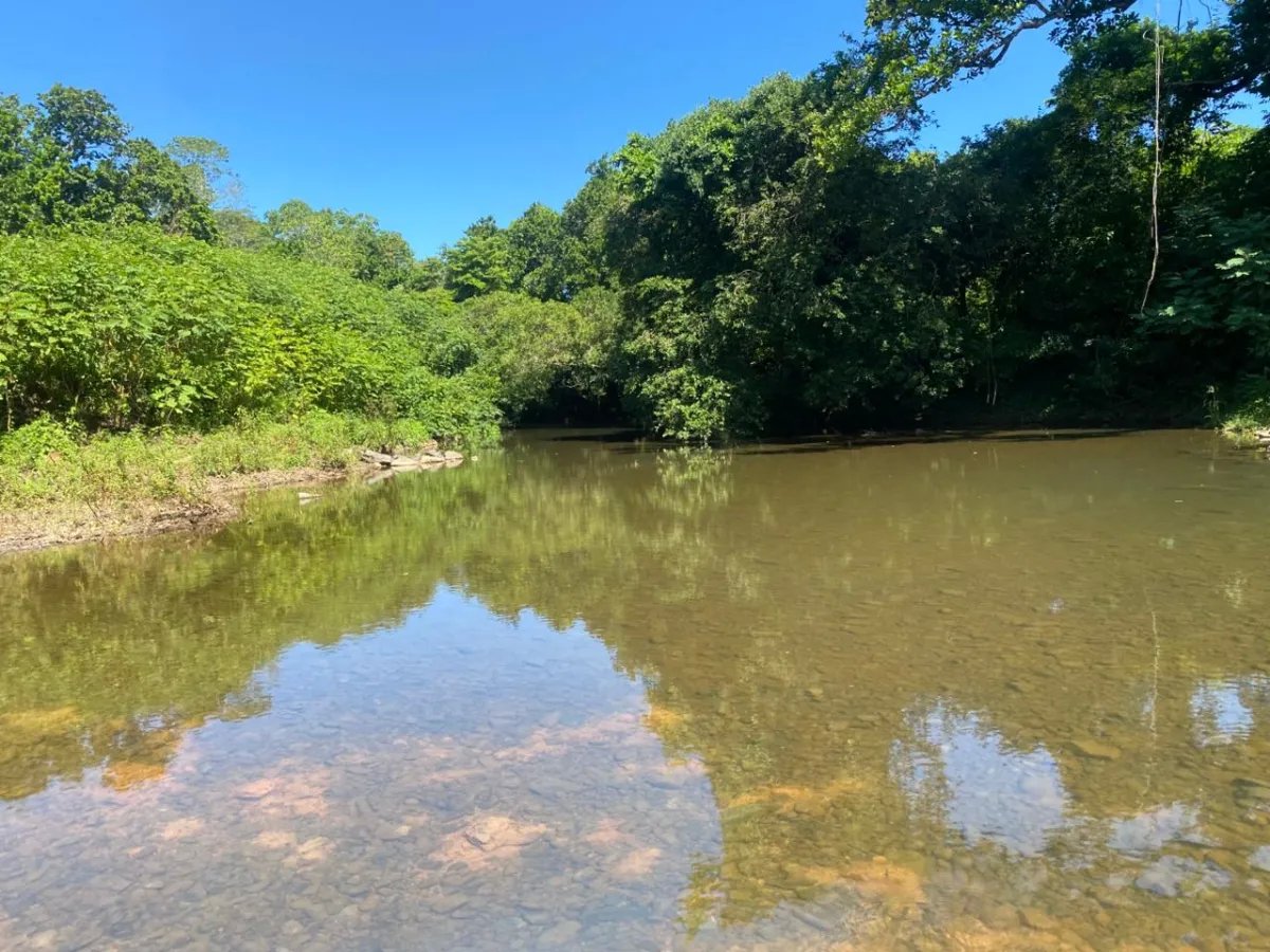 Finca en Venta  1,119 Hectáreas Cerca de Soná, Veraguas, Panamá