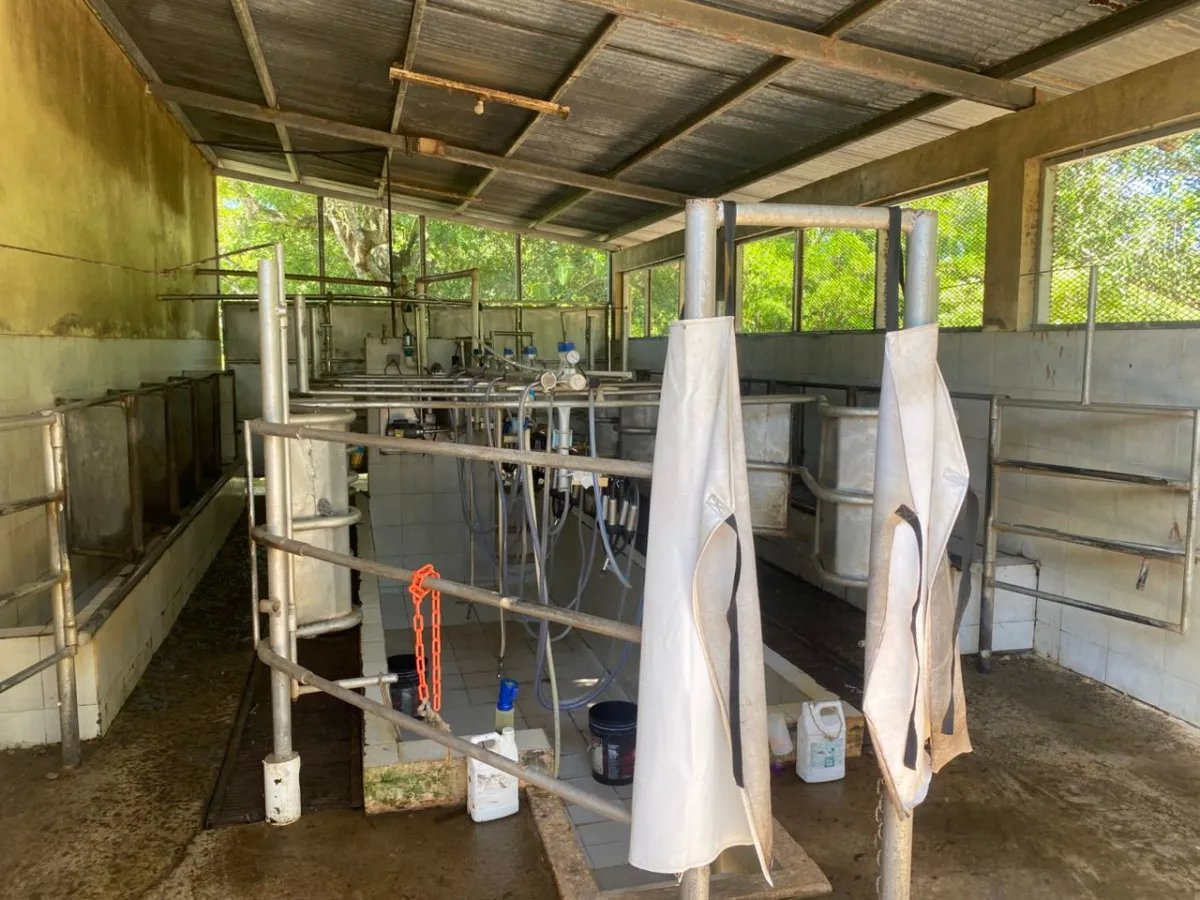Finca en Venta  1,119 Hectáreas Cerca de Soná, Veraguas, Panamá