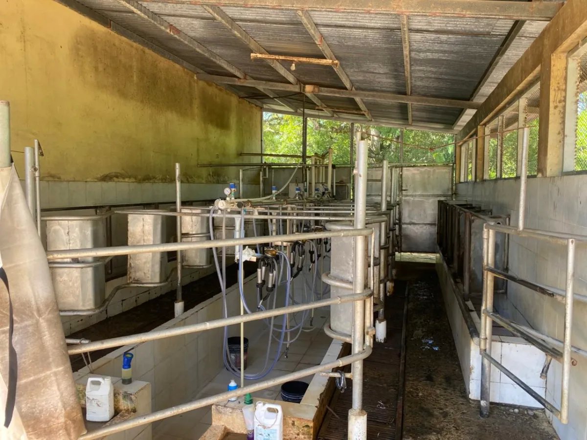 Finca en Venta  1,119 Hectáreas Cerca de Soná, Veraguas, Panamá