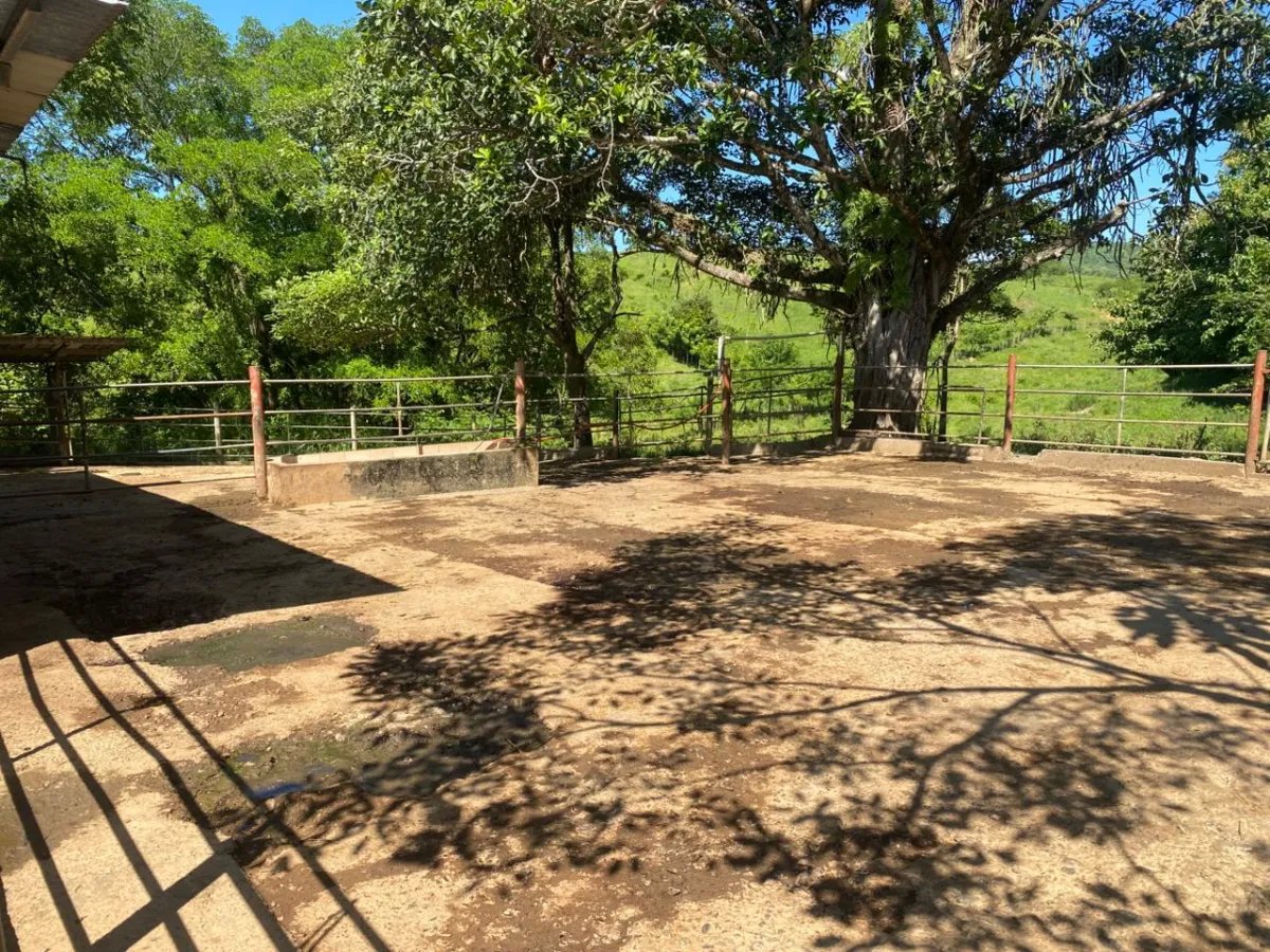 Finca en Venta  1,119 Hectáreas Cerca de Soná, Veraguas, Panamá