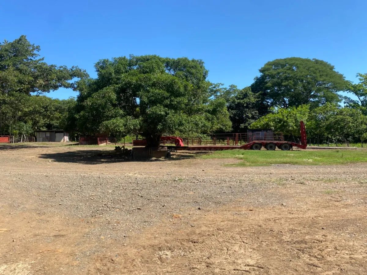Finca en Venta  1,119 Hectáreas Cerca de Soná, Veraguas, Panamá