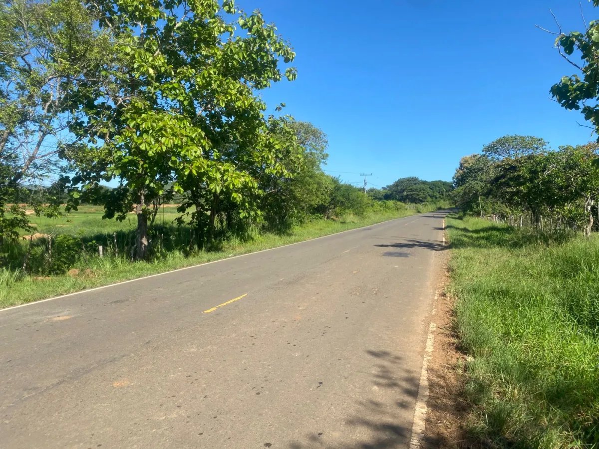 Finca en Venta  1,119 Hectáreas Cerca de Soná, Veraguas, Panamá