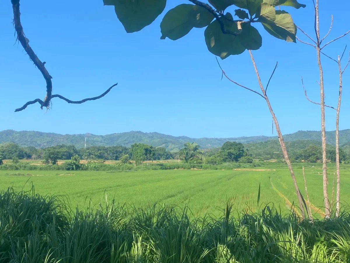 Finca en Venta  1,119 Hectáreas Cerca de Soná, Veraguas, Panamá