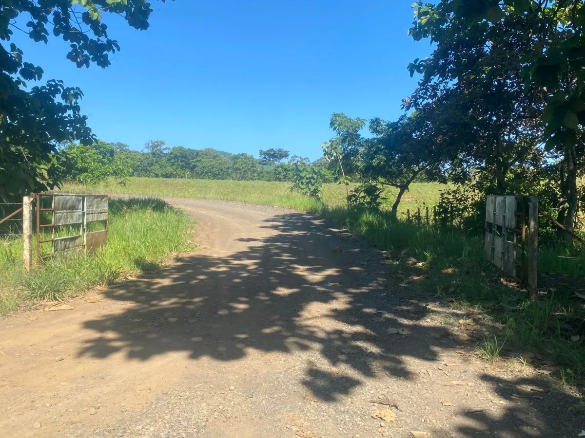 Finca en Venta  1,119 Hectáreas Cerca de Soná, Veraguas, Panamá